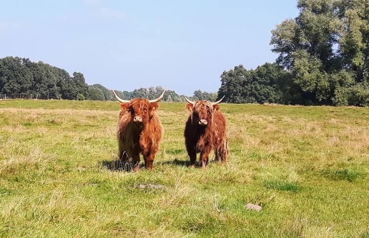 B&B Het Nijenhuis Diffelen Bagian luar foto